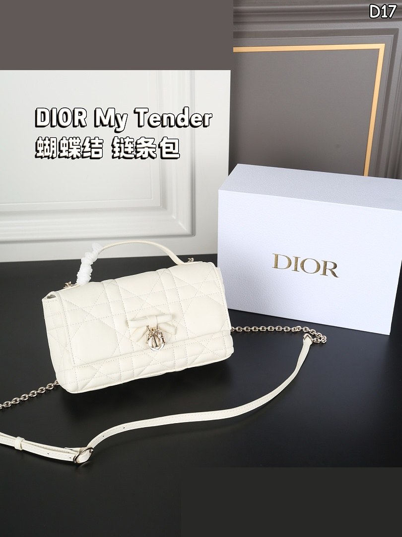 CD Bag 091
