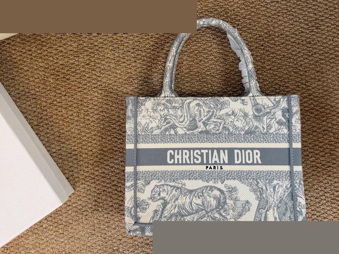 CD Bag 133