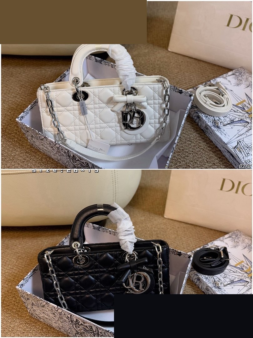 CD Bag 173