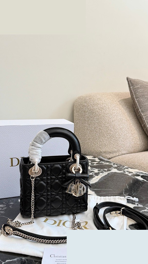 CD Bag 204