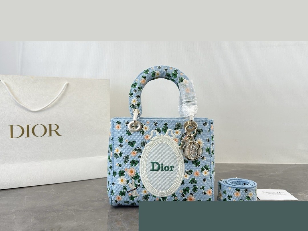 CD Bag 205