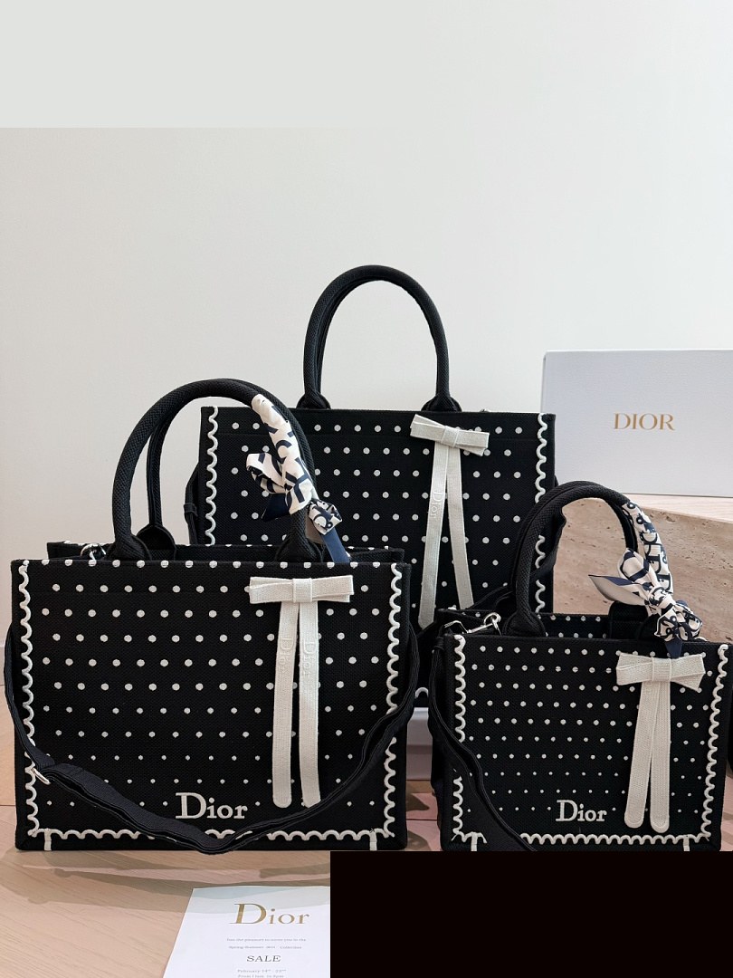 CD Bag 223