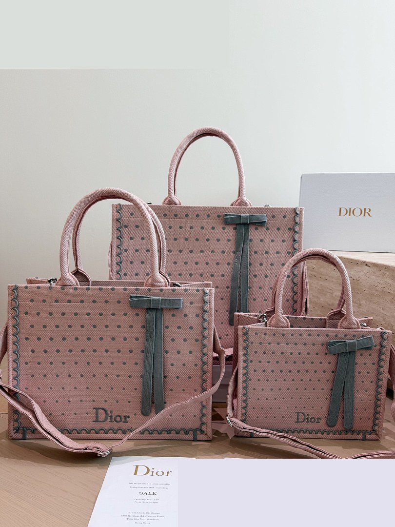 CD Bag 225