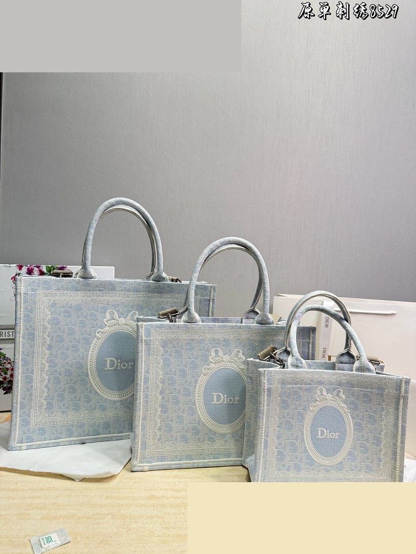 CD Bag 231