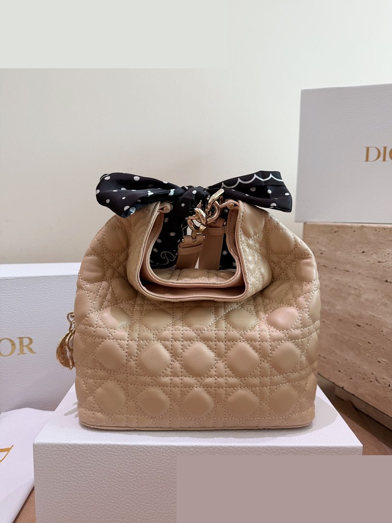 CD Bag 233
