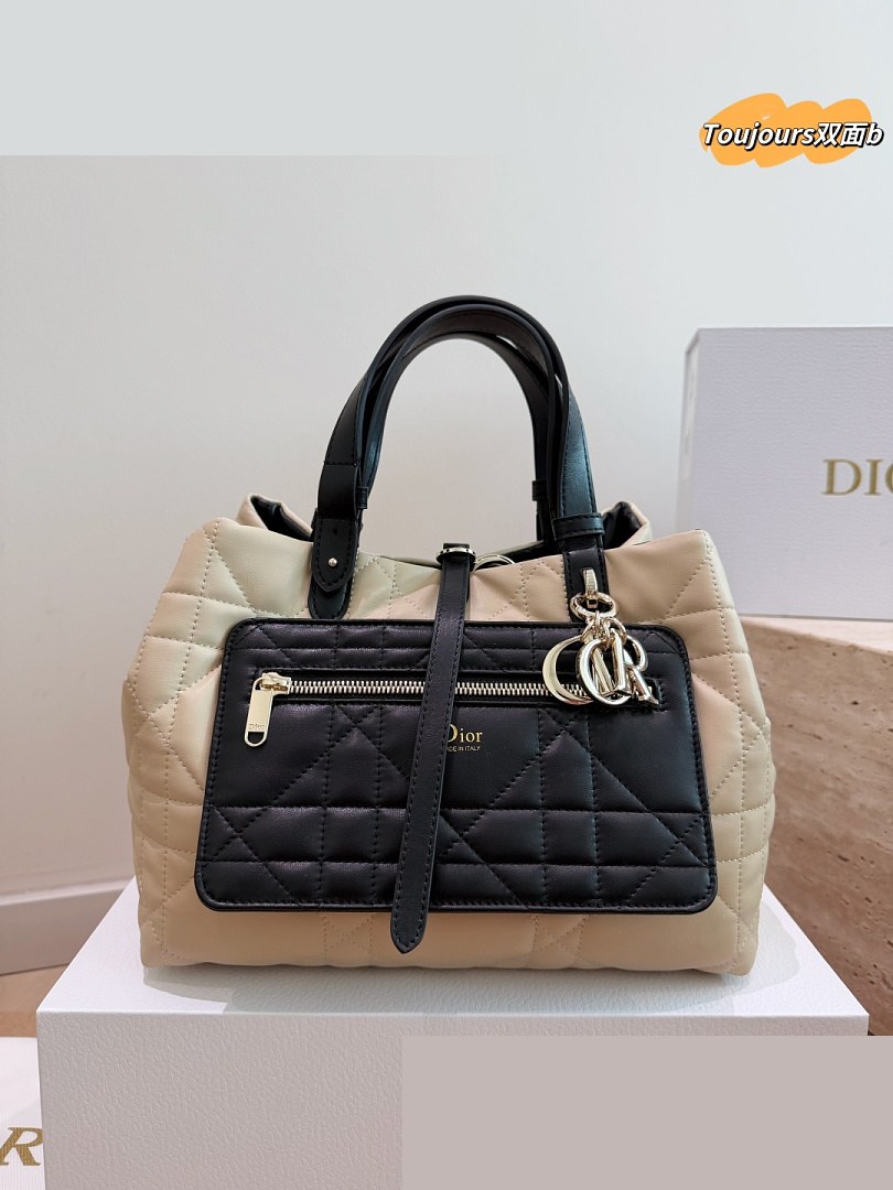 CD Bag 251
