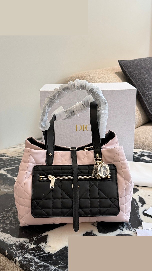 CD Bag 254