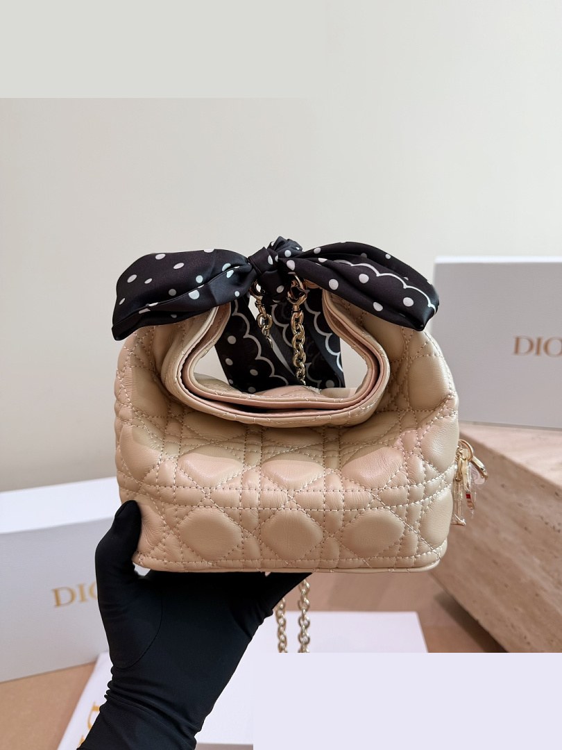 CD Bag 262