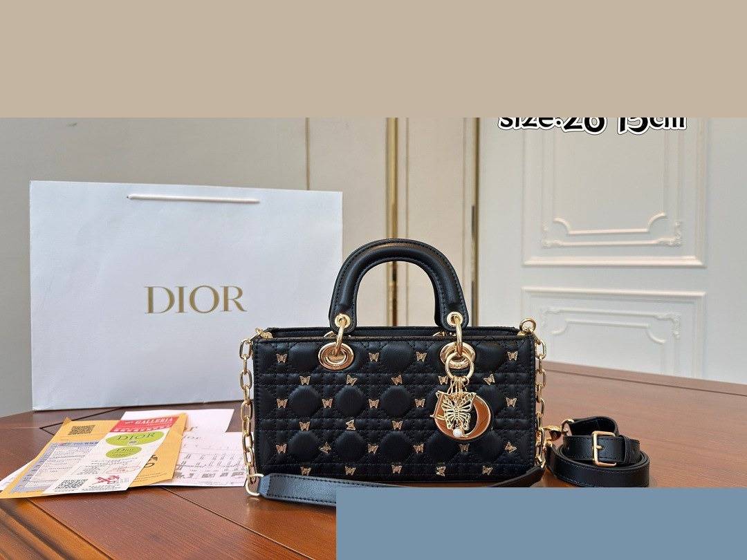 CD Bag 310