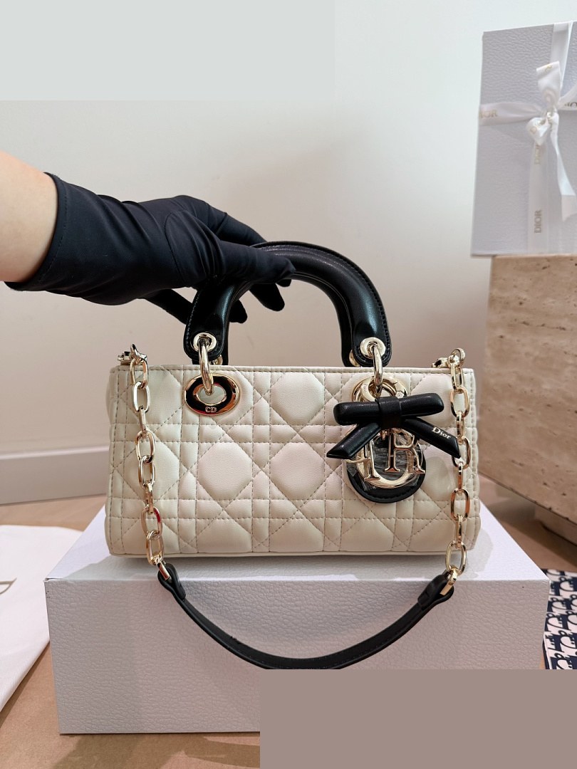 CD Bag 320