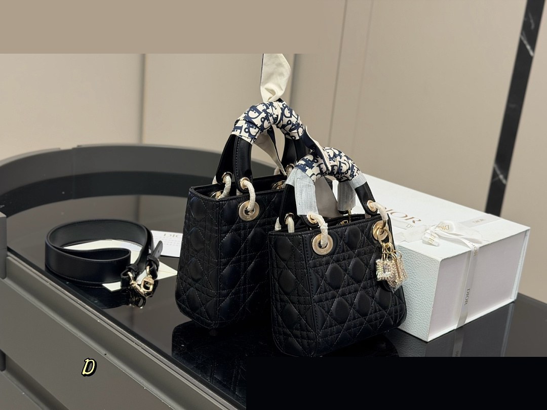 CD Bag 330