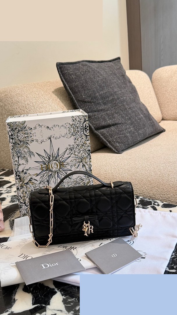 CD Bag 331
