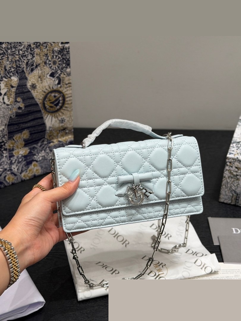 CD Bag 334