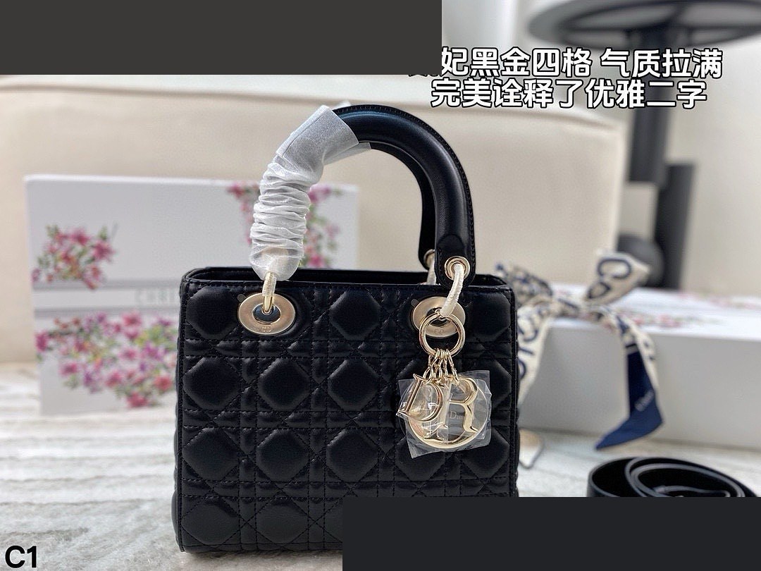 CD Bag 341