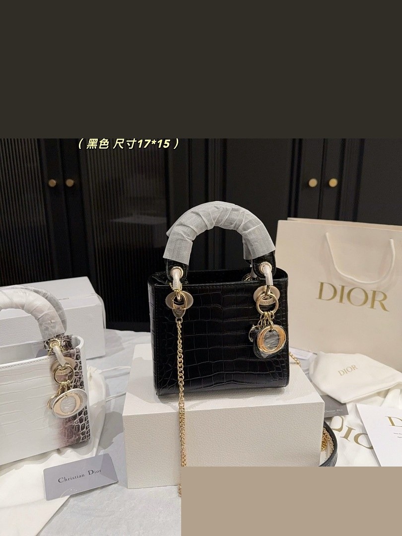 CD Bag 481