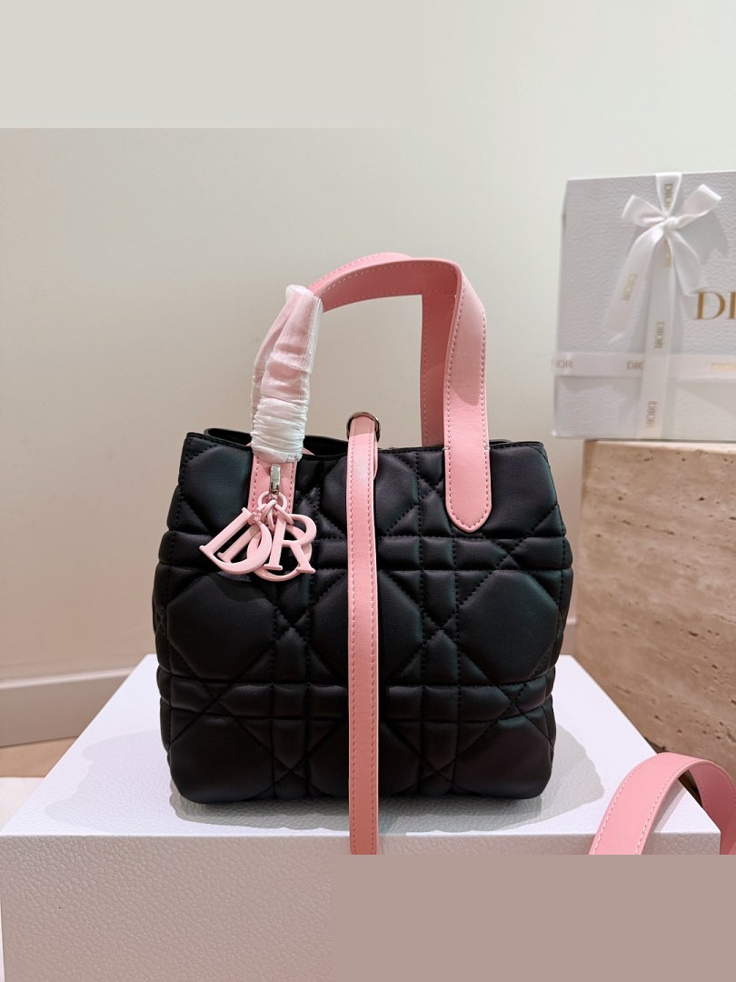 CD Bag 487