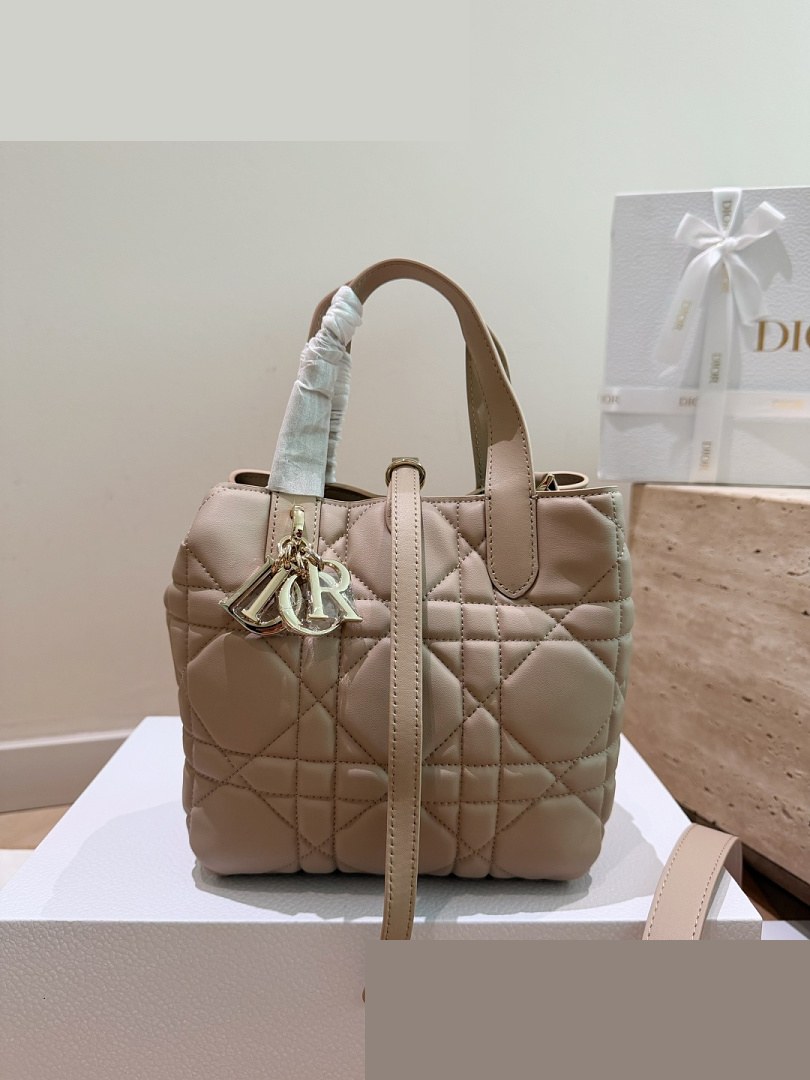 CD Bag 489