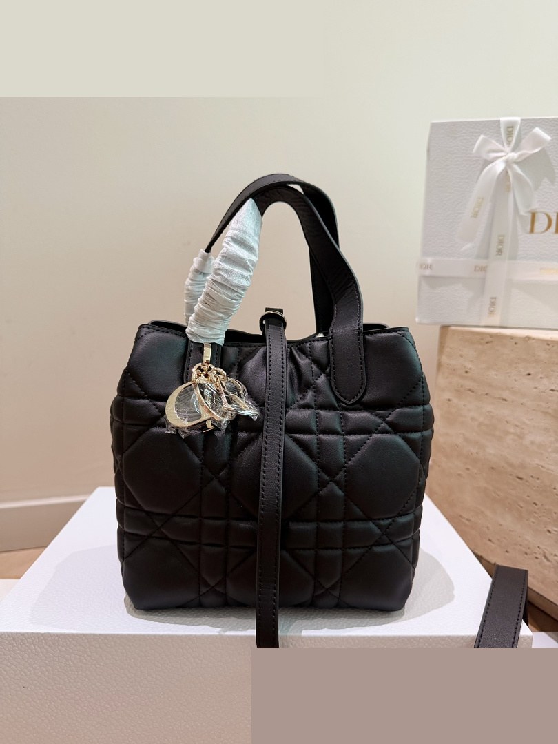 CD Bag 490