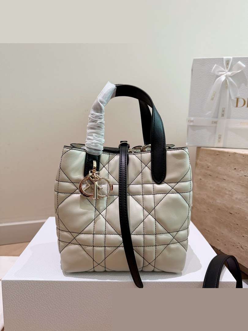 CD Bag 498
