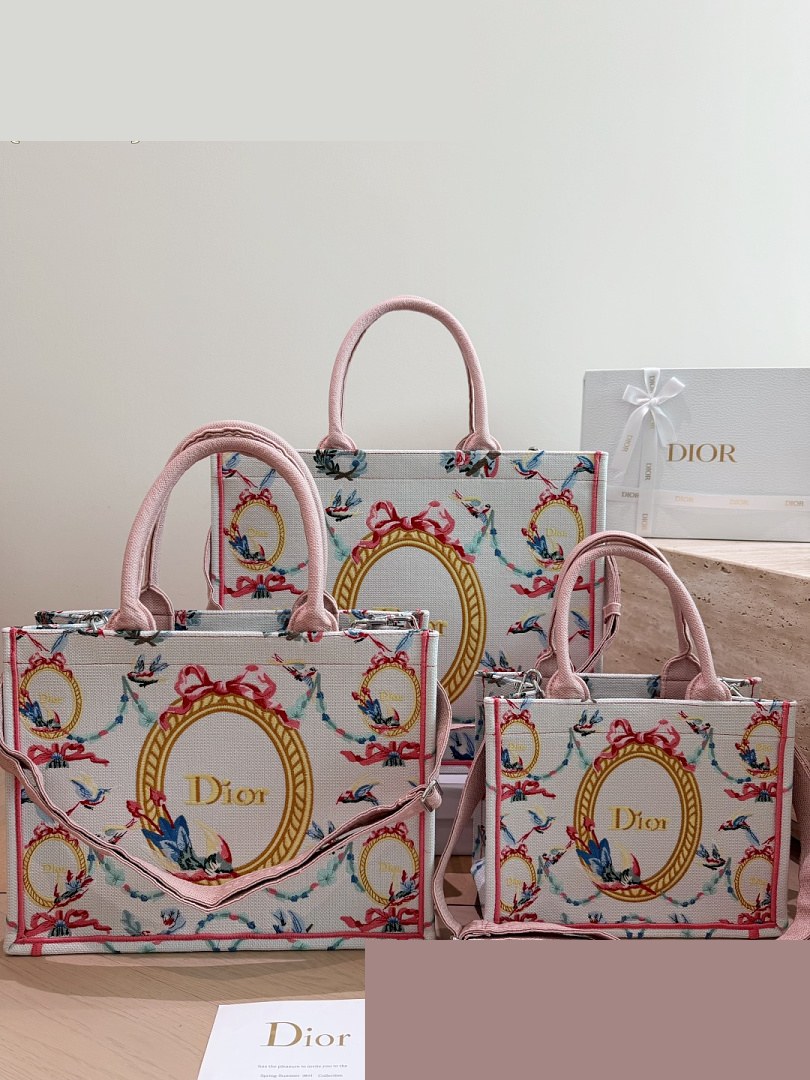 CD Bag 509
