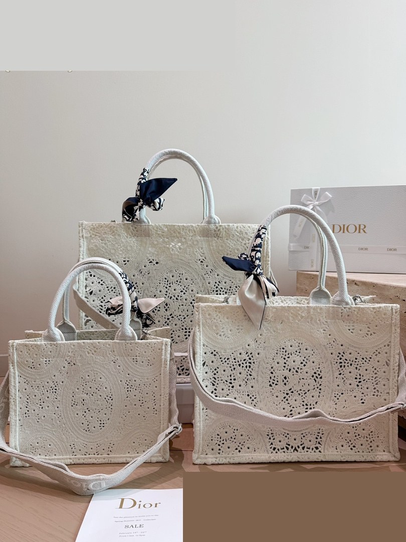 CD Bag 520