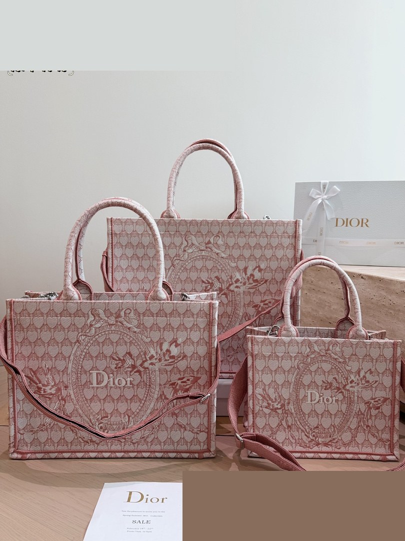 CD Bag 523