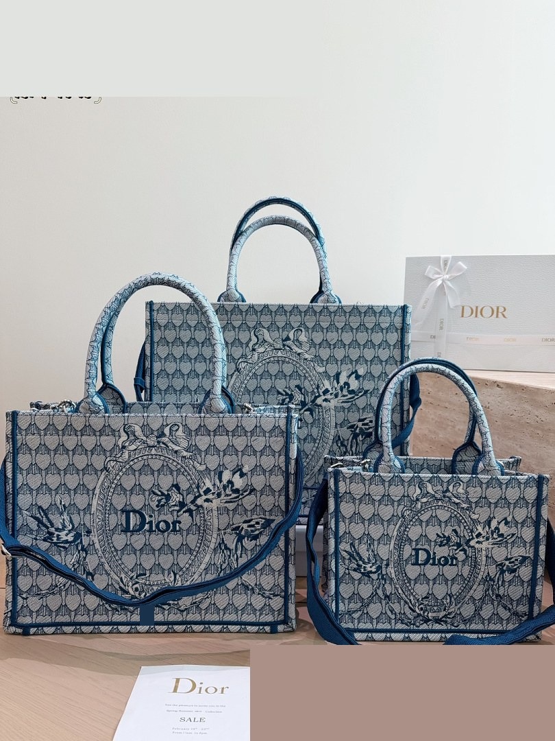 CD Bag 525