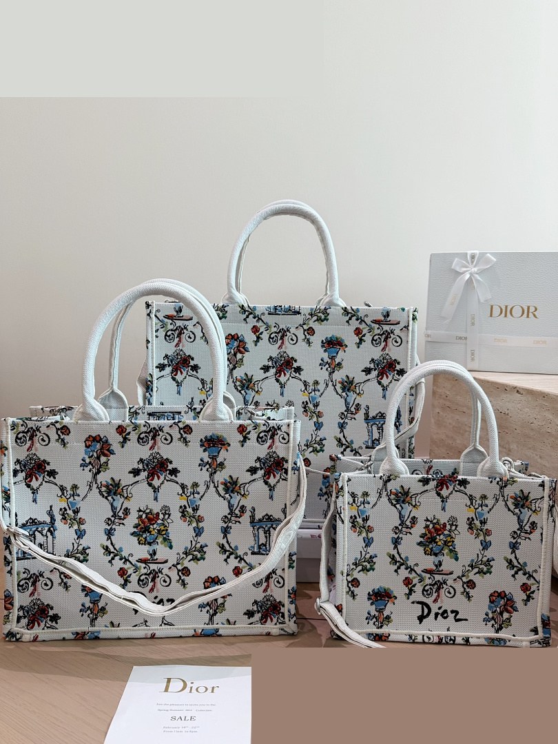 CD Bag 527