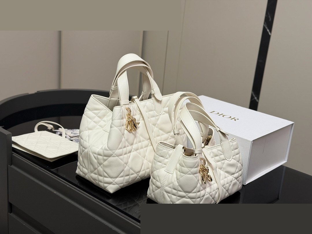CD Bag 558