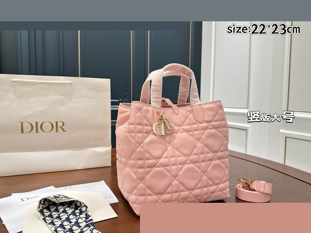 CD Bag 585