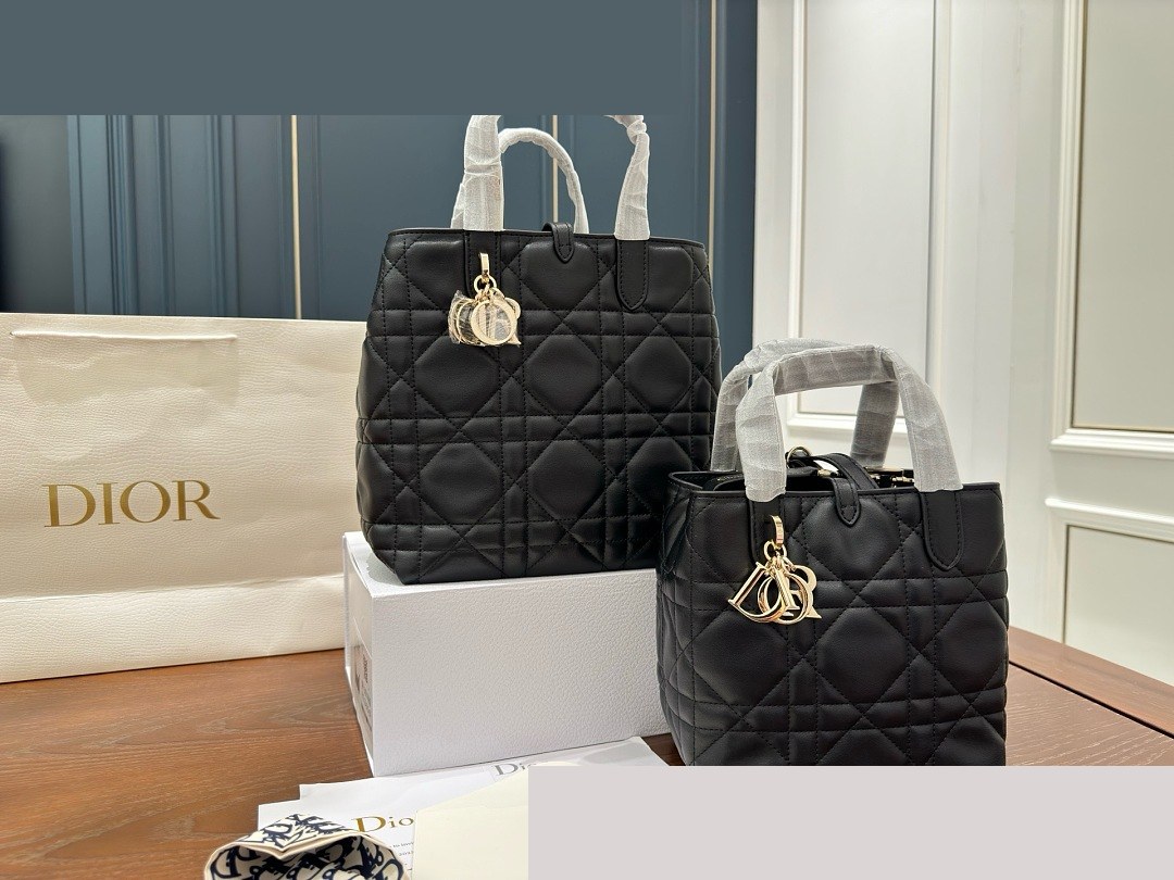 CD Bag 586