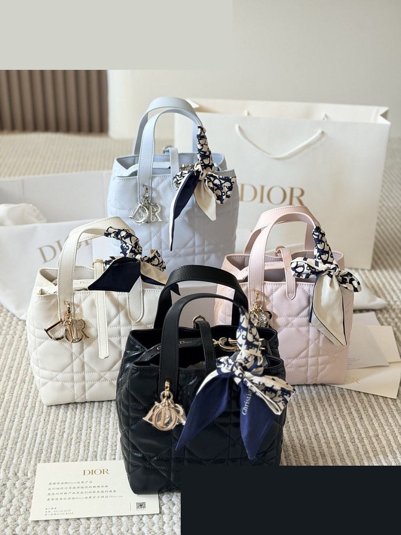 CD Bag 600