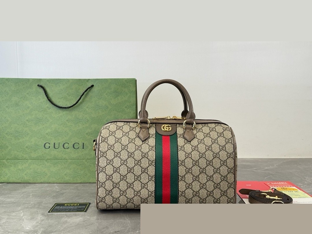GG Bag 011
