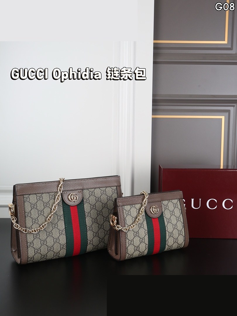 GG Bag 446