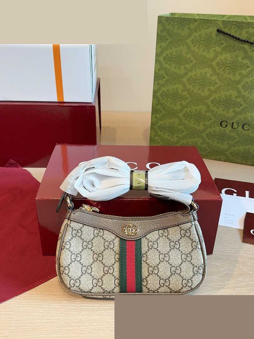 GG Bag 543