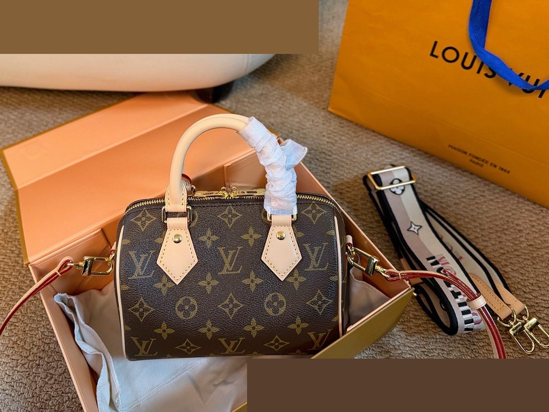 LV Bag 009