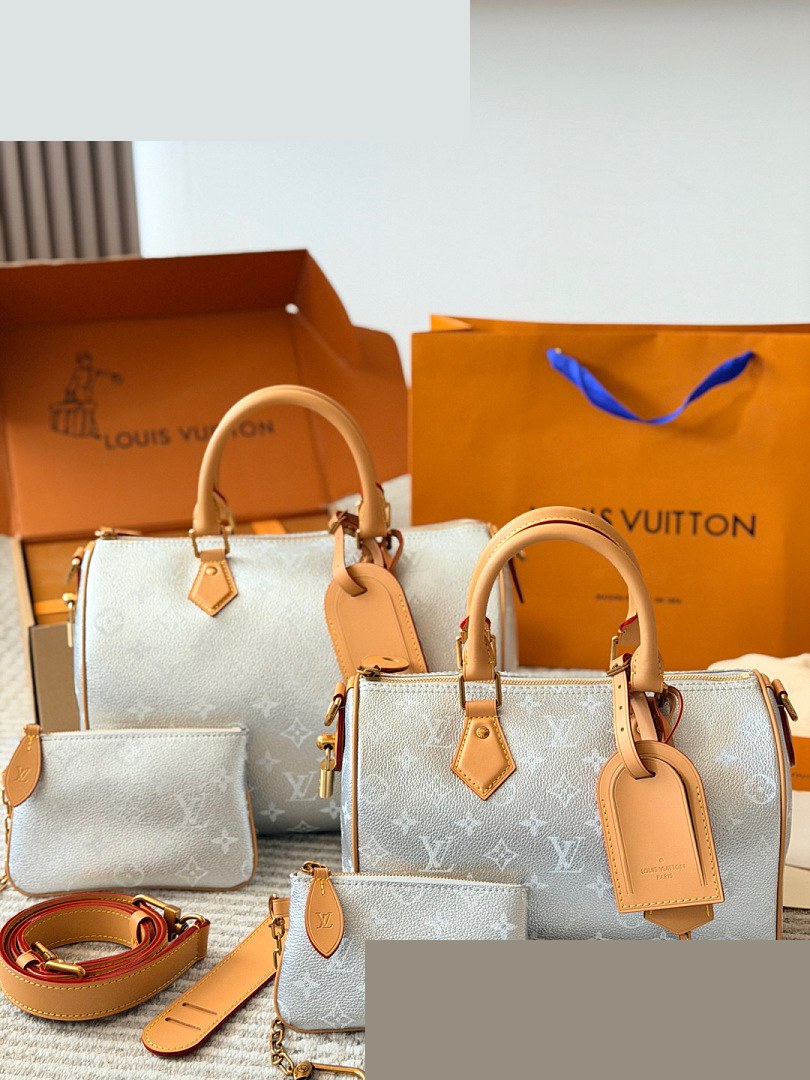 LV Bag 011