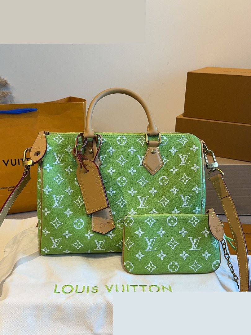 LV Bag 012