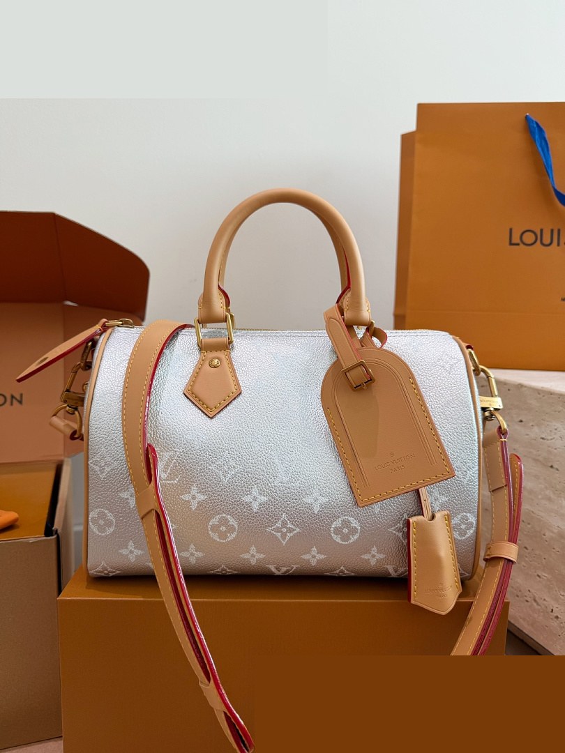 LV Bag 016