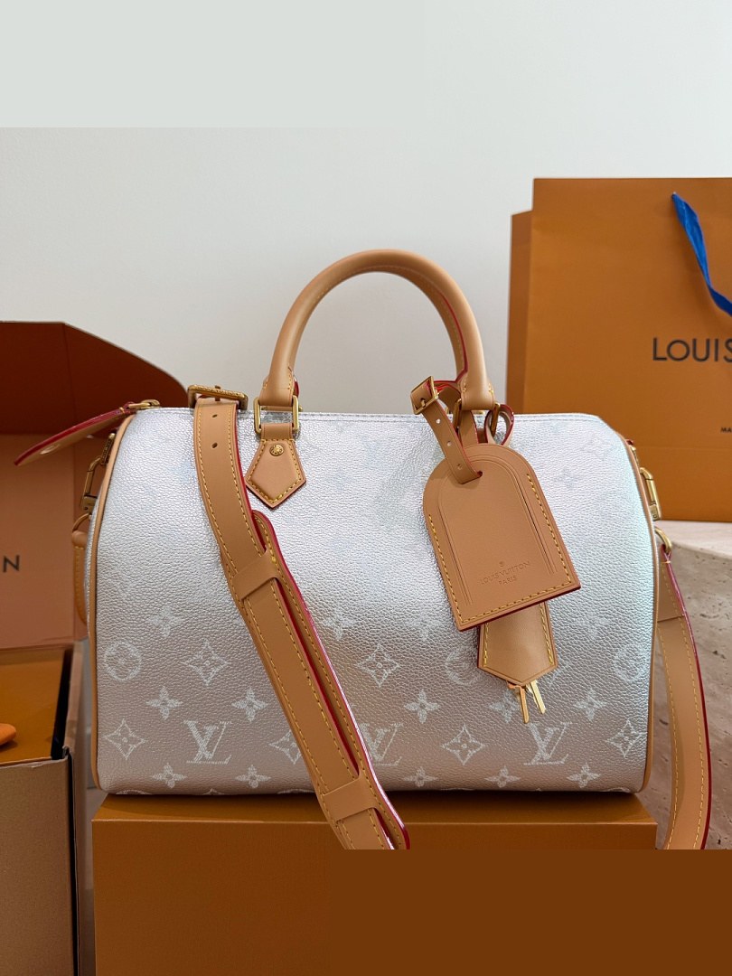 LV Bag 017
