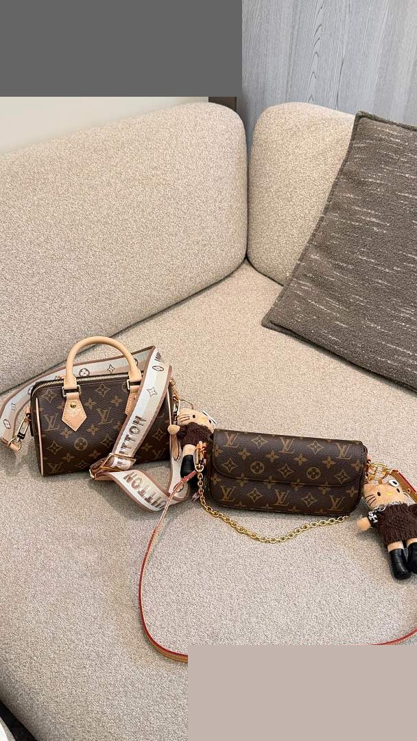 LV Bag 025