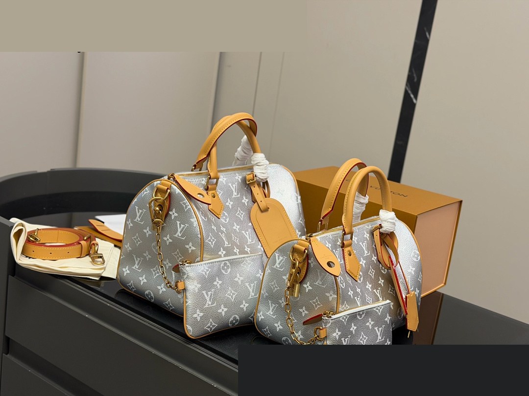 LV Bag 027