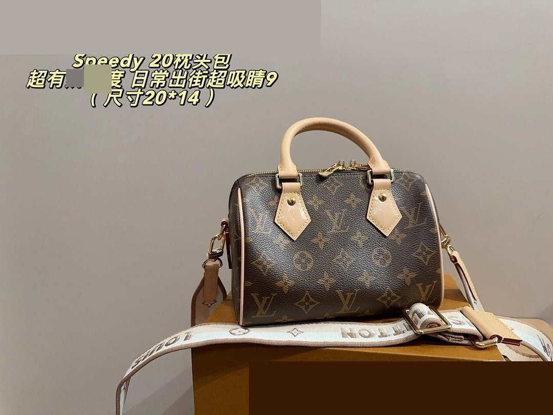 LV Bag 028