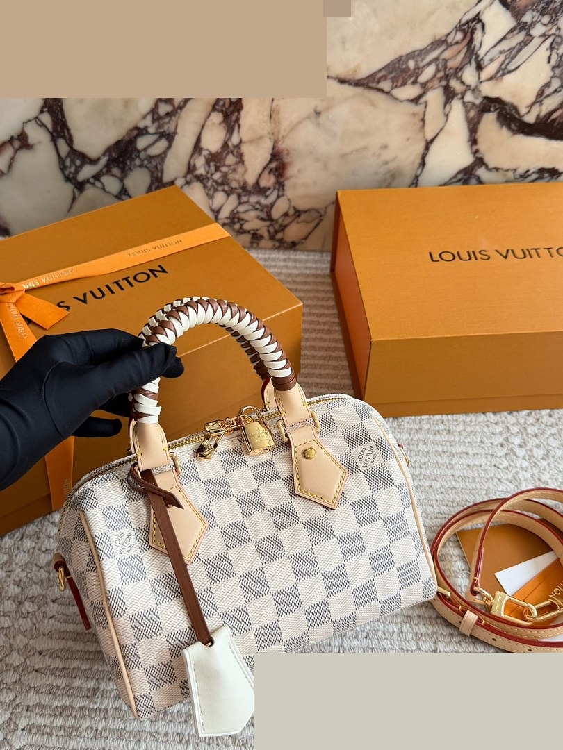 LV Bag 029