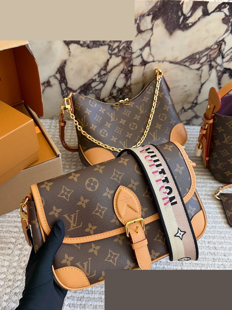 LV Bag 031