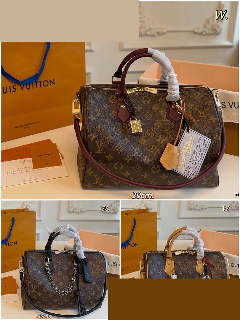 LV Bag 038