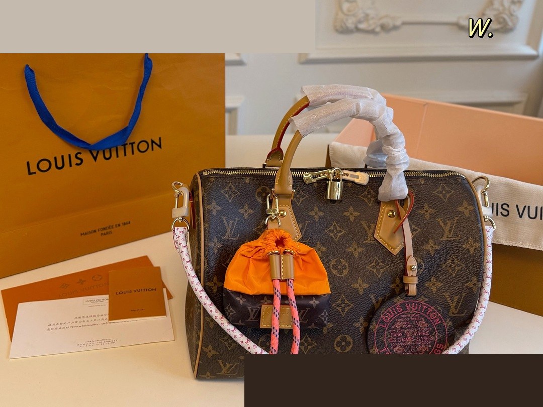 LV Bag 041