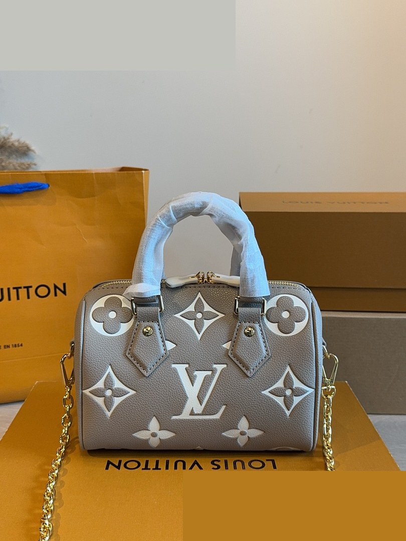 LV Bag 049