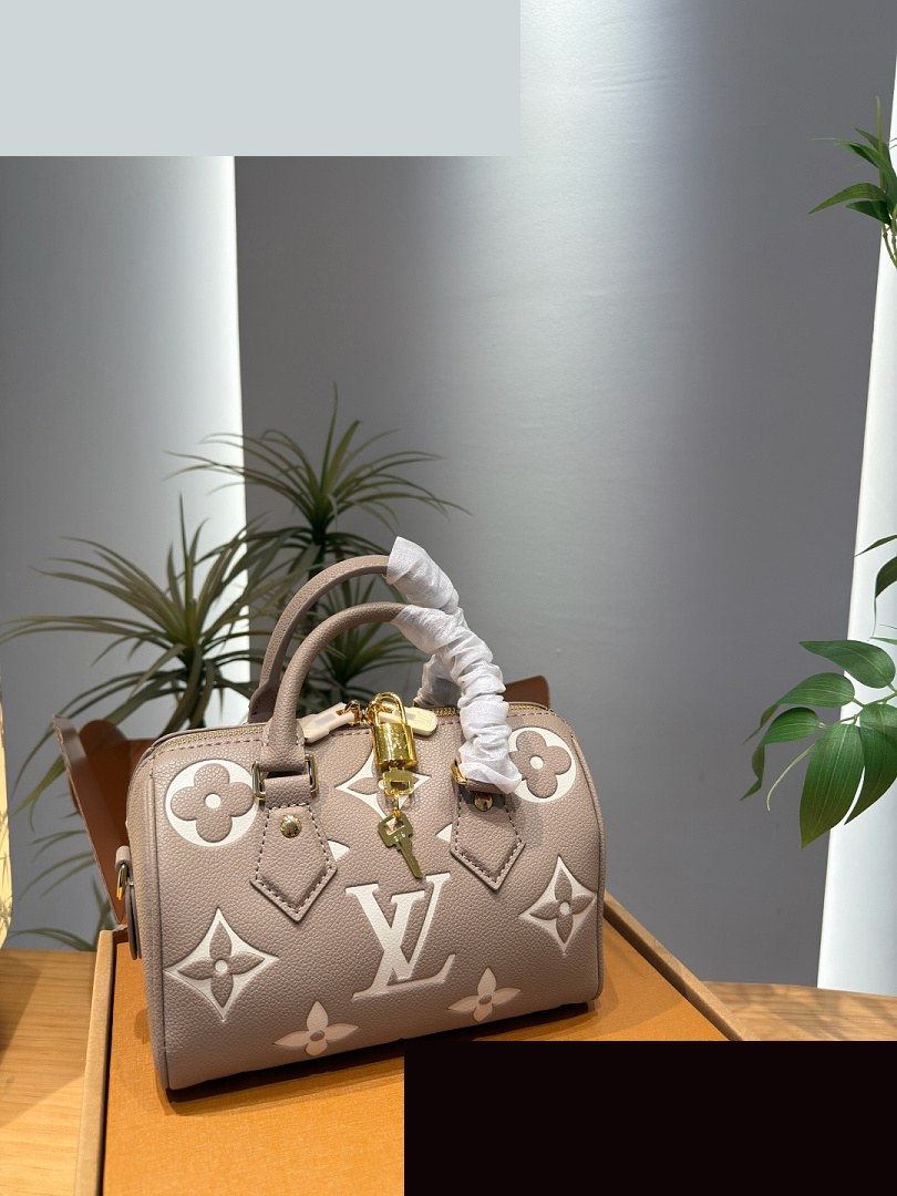 LV Bag 053