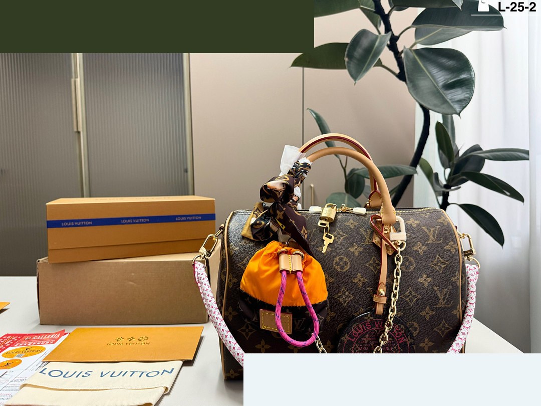 LV Bag 082